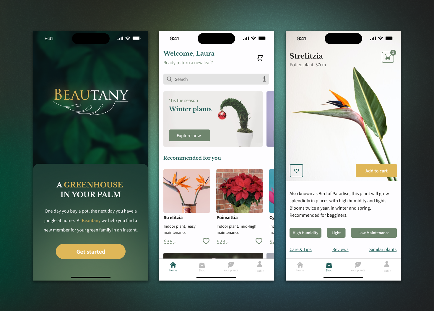 Beautany, práctica personal para la creación de una aplicación dirigida a la jardinería